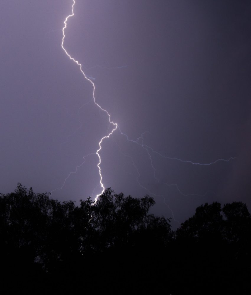 A vertical shot of lightning hitting a tree at night with a purple sky and trees in front